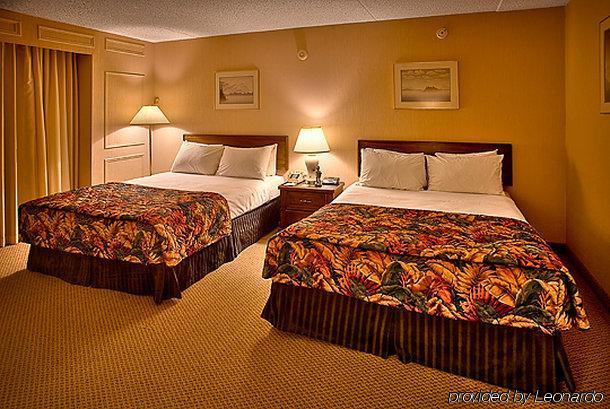 Black Knight Inn Red Deer Camera foto